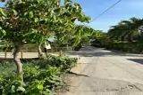 Sở Hữu Ngay Lô Đất Chính Chủ - Bán Giá Tốt - Ảnh 5
