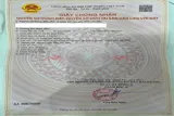 Hàng Hiếm 80,9M Tại Đồng Mai-Hà Đông-Hà Nội - Ảnh 3