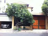 Bán Biệt Thự Mặt Tiền Ngô Bệ, Tân Sơn Nhất - Vị Trí Đắc Địa, Kinh Doanh Sầm Uất - Ảnh 7