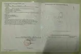 ✅ Bán Đất Đấu Giá X5 Nguyên Khê Đông Anh - 88M - Mặt  Đường 15M - Ảnh 5
