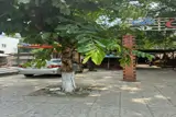 Đất Đẹp – Giá Tốt – Cần Bán Đất Tại Thị Trấn Tân Châu, Huyện Tân Châu, Tỉnh Tây Ninh - Ảnh 1