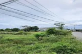 Bán Gấp 1.949M², Nở Hậu Đẹp - Đất Mặt Tiền Sông Lu – Củ Chi - Ảnh 4