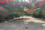 Siêu Phẩm Mặt Phố Nghĩa Tân Siêu Phẩm Cầu Giấy Chùa Hà.1mặt Phố - 1 Mặt Ngõ Kinh Doanh Sầm Uất - Ảnh 2