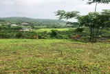 Siêu Hót Bán Lô Đất Nghỉ Dưỡng 3502M Tại Nam Phương Tiến-Chương Mỹ-Hà Nội - Ảnh 3