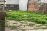 Hàng Mới Tinh 59,5M Tại Thượng Vực-Chương Mỹ-Hà Nội - Ảnh 1