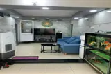 Bán Nhà Tttp 3 Tầng Hẻm Thống Nhất Phương Sơn - ảnh 1