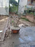 Đất Cao Lỗ, Uy Nỗ, Đông Anh - Giá Tốt, Vị Trí Đẹp - Ảnh 1