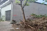 Bán Đất Tặng Nhà 59M Tại Ngọc Hòa-Chương Mỹ-Hà Nội - Ảnh 1