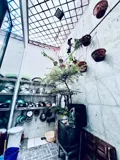 Bán Nhà Tân Bình - Phạm Văn Bạch 5x17, 3 Tầng, 7.8 Tỷ - Ảnh 2