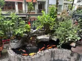 Bán Nhà Liền Kề Xa La Cao Cấp: Vị Trí Vàng, Hồ Koi, Bể Sục, Phòng Xông Hơi - Ảnh 5