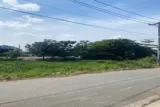 Chính Chủ Bán Gấp Chính Chủ Bán Gấp Lô Đất 146.8M2 - Mt Trần Hải Phụng, Bình Tân - Kẹt Bank Cắt Lỗ - Ảnh 5