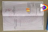 Chính Chủ Gửi Hậu Thôn Đồng-Phúc Thịnh - Ảnh 5