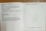 ❌❌❌Chính Chủ Ra Hàng Hoa Hậu Lô Góc Thôn Đồng-Nguyên Khê❌❌❌ - Ảnh 2