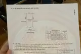 ✅ Bán Đất Tái Định Cư Lương Nỗ, Tiên Dương - Mặt Đường 40M - Đường Thiết Bị Điện Kéo Dài - Ảnh 4