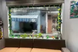 ► Góc Kiệt Phan Thanh, 55M2, 3 Mê Hiện Đại, Thoáng, Tiện Nghi, 4.X Tỷ - ảnh 3