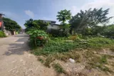 Hàng Hiếm 99M Tại Thủy Xuân Tiên-Chương Mỹ-Hà Nội - Ảnh 3