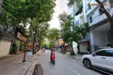 Mặt Phố Dịch Vọng - 495M² - Mt 8M - Đất Vuông Đẹp - 150 Tỷ - Ảnh 2
