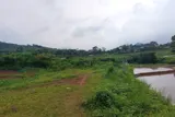 Chính Chủ Cần Bán  2,5 Ha Đất Bám Suối View Siêu Đep Tại Lương Sơn – Phú Thọ - Ảnh 1