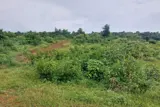 Chính Chủ Cần Bán  2,5 Ha Đất Bám Suối View Siêu Đep Tại Lương Sơn – Phú Thọ - Ảnh 3