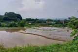Chính Chủ Cần Bán  2,5 Ha Đất Bám Suối View Siêu Đep Tại Lương Sơn – Phú Thọ - Ảnh 4