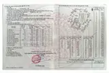 Trang Trại Chăn Nuôi Heo Qui Mô Lớn 10 Hécta - Ảnh 1
