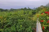 Siêu Phẩm 5105M Tại Thành Lập-Lương Sơn-Hòa Bình - Ảnh 4