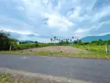 Bán Đất Nền Diên Khánh, Khánh Hòa - Vị Trí Đắc Địa, Pháp Lý Sổ Hồng - Ảnh 3