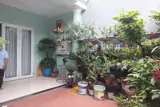 Bán Nhà Cấp 4 – 2 Mặt Tiền Đường Chính Hữu – Sơn Trà, Đà Nẵng - ảnh 5