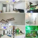 Bán Nhà Mặt Tiền Võ Trường Toản – Phường 9, Tp. Vũng Tàu - Ảnh 1