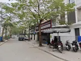 Biệt Thự Khu A Dương Nội Hà Đông: 240m2, 4 Tầng, Lô Góc 2 Mặt Tiền - Giá 44 Tỷ - Ảnh 4