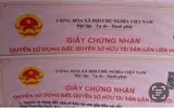 Chính Chủ Bán Đất Thổ Cư Xã Phước Hậu, Huyện Long Hồ, Tỉnh Vĩnh Long - Ảnh 1