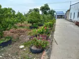 Chính Chủ Bán Đất Thổ Cư Xã Phước Hậu, Huyện Long Hồ, Tỉnh Vĩnh Long - Ảnh 3