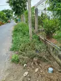 Chính Chủ Bán Đất Thổ Cư Xã Phước Hậu, Huyện Long Hồ, Tỉnh Vĩnh Long - Ảnh 4