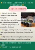 Cho Thuê Sàn Thương Mại Trung Tâm Hà Đông - 250m² - Giá 60 Triệu/Tháng - Ảnh 1