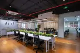 Cho Thuê Sàn Thương Mại Trung Tâm Hà Đông - 250m² - Giá 60 Triệu/Tháng - Ảnh 3