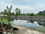 Siêu Phẩm 69,3M Tại Đại Thành-Quốc Oai-Hà Nội - Ảnh 4