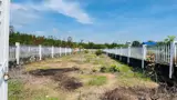 Chủ Cần Bán 1000Mv Phước Hội Long Đát Bà Rịa Vũng Tàu -Hcm - ảnh 2