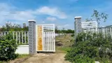 Chủ Cần Bán 1000Mv Phước Hội Long Đát Bà Rịa Vũng Tàu -Hcm - ảnh 3