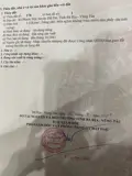 Chủ Cần Bán 1000Mv Phước Hội Long Đát Bà Rịa Vũng Tàu -Hcm - ảnh 4