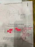 Chủ Cần Bán 1000Mv Phước Hội Long Đát Bà Rịa Vũng Tàu -Hcm - ảnh 5