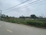 Bán Đất Xuân Canh- Đông Anh, 80M-Nhỉnh12 Tỷ(tl) - Ảnh 2