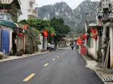 Siêu Phẩm Trục Chính Kinh Doanh 110M Tại Phụng Châu-Chương Mỹ-Hà Nội - Ảnh 1