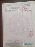 Bán 3 Dãy Phòng Trọ Có 55 Phòng, Thu Nhập 70Tr/th, Diện Tích 1398M2 Đất. Giá Chỉ 16Tr/1m2 - Ảnh 2