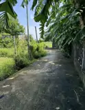 Chính Chủ Cần Bán Gấp Lô Đất Có Vị Trí Đẹp Tại Xã Hòa Phước – P. Hòa Xuân – Tp. Đà Nẵng - Ảnh 3