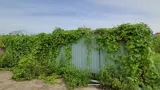 Bán 2 Lô Đất Liền Kề Đường Số 40 Hiệp Bình Chánh Thành Phố Thủ Đức - Ảnh 1