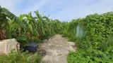 Bán 2 Lô Đất Liền Kề Đường Số 40 Hiệp Bình Chánh Thành Phố Thủ Đức - Ảnh 5
