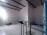 Nhà Trọ Shr 12 Phòng Hxh Né 304M2 – Bùi Công Trừng Quận 12 Ss - Ảnh 3
