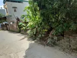 Bán Đất Thôn Bắc Kim Nỗ - 52m² Ngõ Ô Tô - Giá Đầu Tư - Ảnh 1