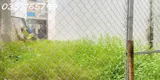 Bán Đất Quận 9 - 20M Ra Nguyễn Văn Tăng - 200M Ra Lê Văn Việt - Ngã Ba Mỹ Thành - Lô Đất Đẹp Nở Hậu - Ảnh 1
