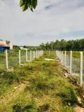 Đất Nền Bà Thiên, Nhuận Đức - Đầu Tư Sinh Lời, Xây Nhà An Cư - Ảnh 3